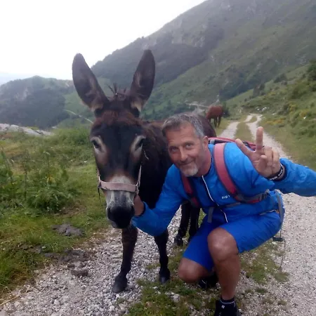 Taverna Gattolini * Venzone